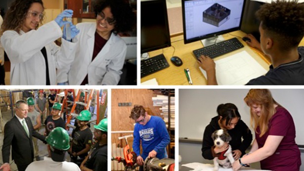 Cover image from report